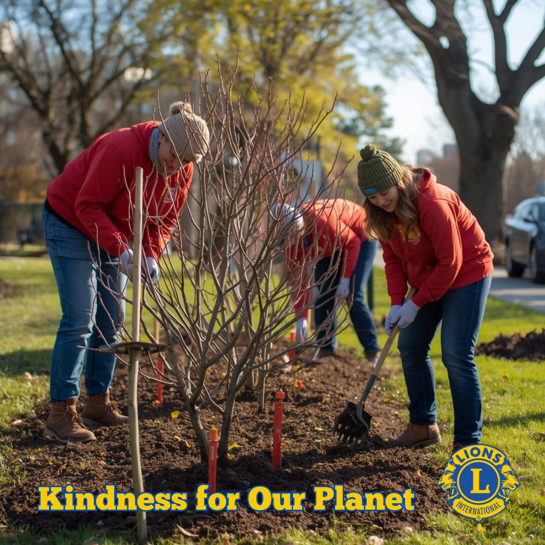 Document Thumbnail Image