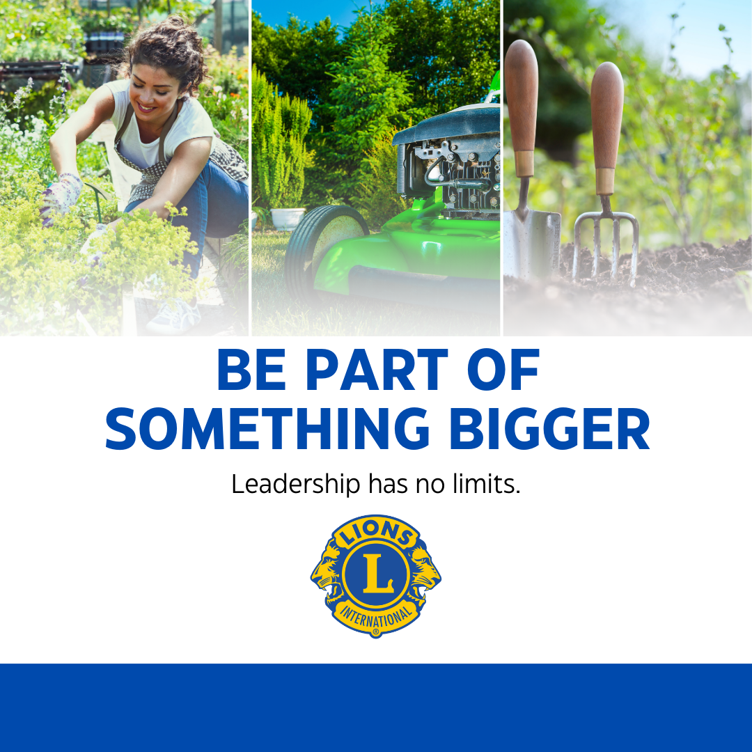 Document Thumbnail Image