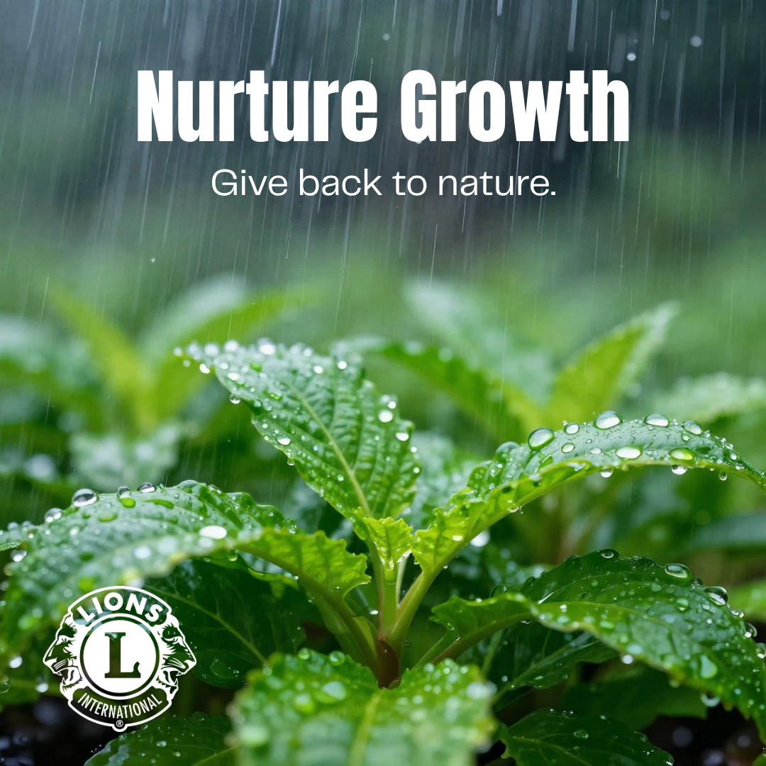 Document Thumbnail Image