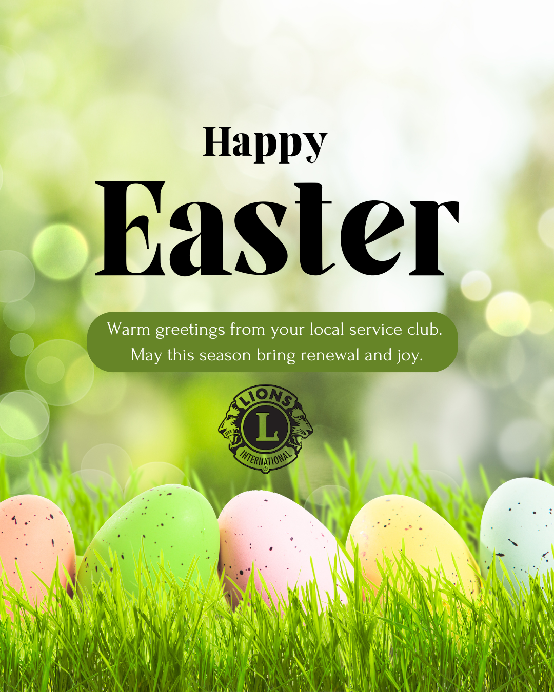 Document Thumbnail Image