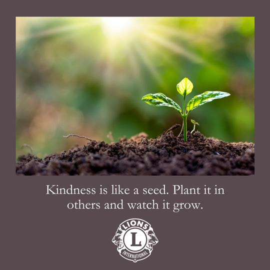 Document Thumbnail Image