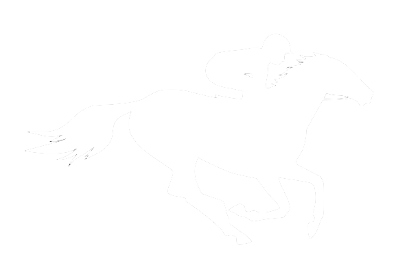 Race Horse